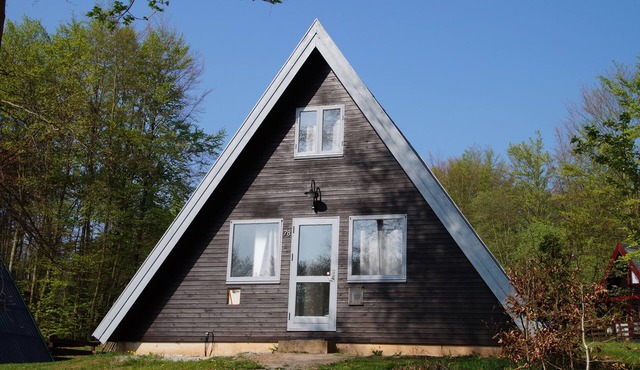 Vacation home with large terrace in the vacation park at Twistesee, Bad Arolsen