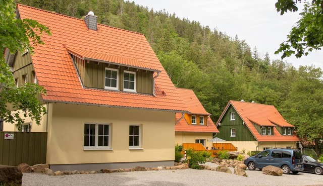 Vacation homes Ilsestein detached house, 130 sqm, 4 bedrooms