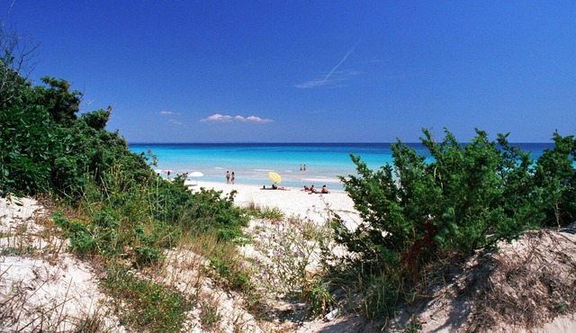 Vacation in front of the Sea in Apulia
