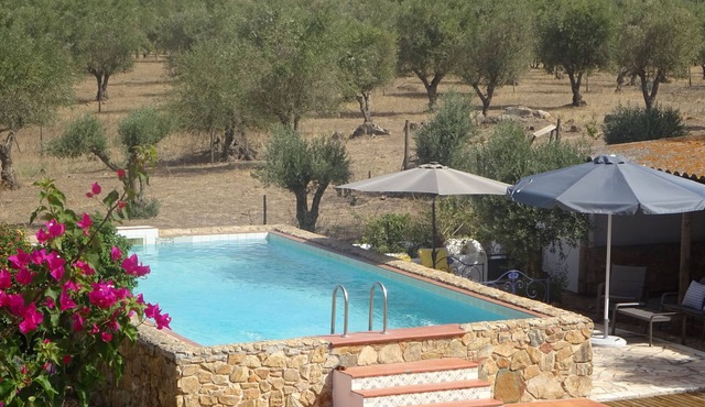 Vacation home on a hill in Alentejo @ New Village