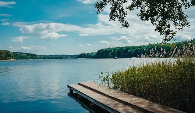Vacation room directly on the lake