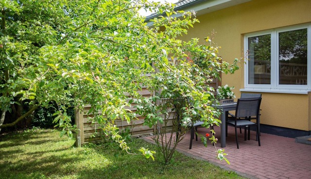 Vacations in Fehmarn: Relax and experience in the Apfelblüte vacation apartment