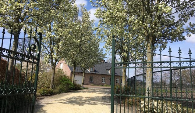 Vakantiewoning Pelterheggen