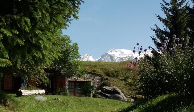 Val D Ayas: chalet - 5 rooms - 6/10 persons House with garden