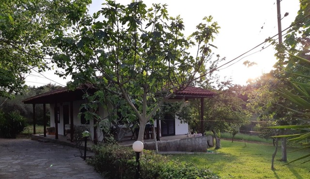 Vala's House by TravelPro Services