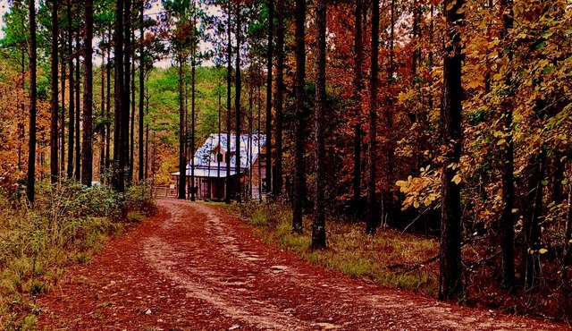 VALKYRIE Secluded Romantic River Cabin River and Mountain Views Log/Stone Cabin