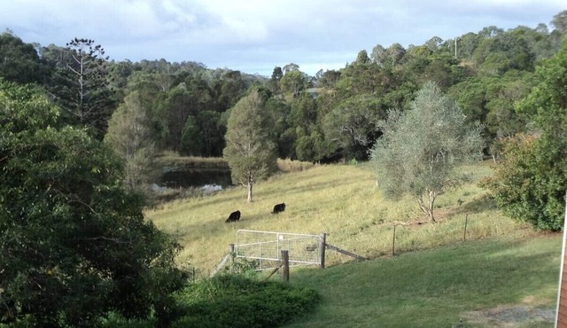 Valley Viewn