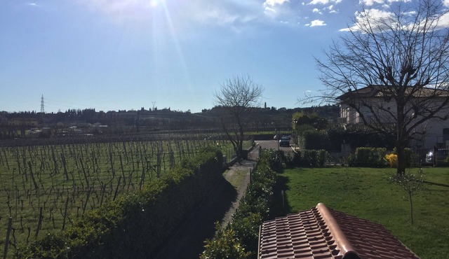 Valpolicella: a look at Valpolicella.