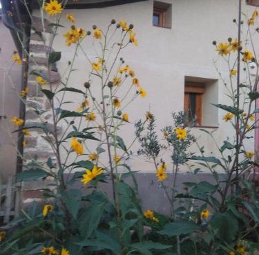 Valvanera 30