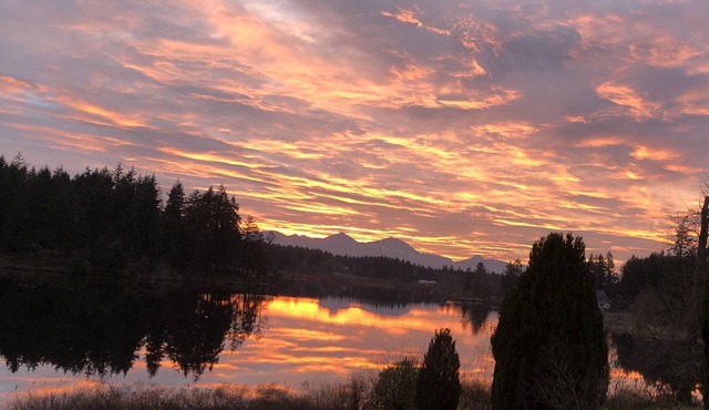 Vancouver Island Spectacular Lakeside Paradise