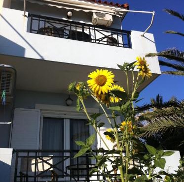 Vasila seaview