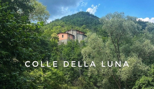 Vegan bed and breakfast in the middle of nature. Pets welcome!