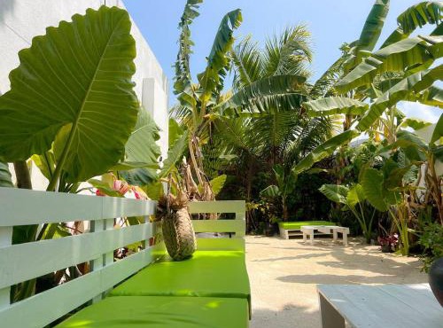 Veli garden thoddoo