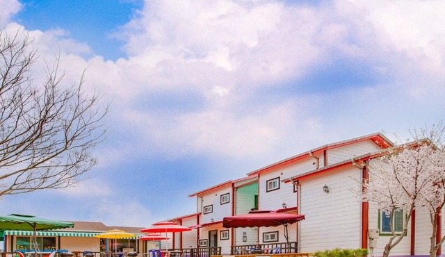 Vellise Pension