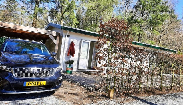 Veluwe Happy Together