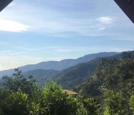 Verde Selva