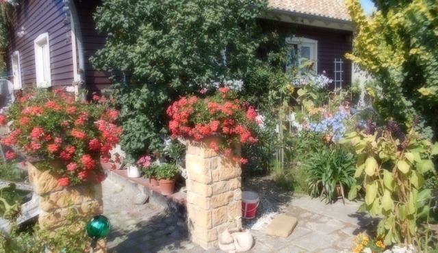 Vermiete Sehr Schönes Apartment/ferienwohnung in Dankerode im Harz