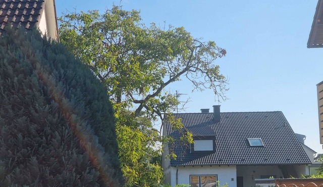 Very nice 3 room apartment with large terrace in Mannheim near Heidelberg