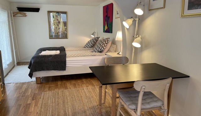 Very nice studio apartment in the city center