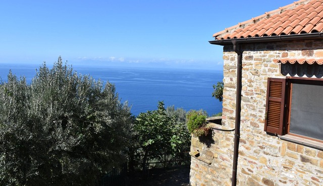 VERY PANORAMIC CILENTO COTTAGE
