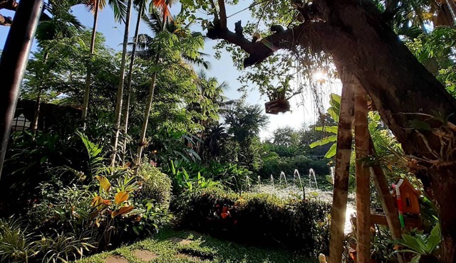 Viang Thapae Resort