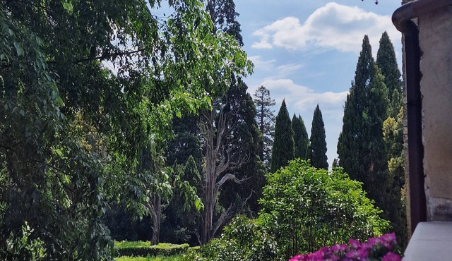 Vicolo d'Este