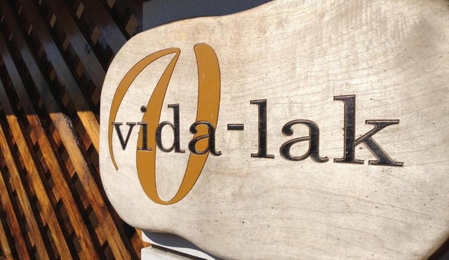 Vida-lak