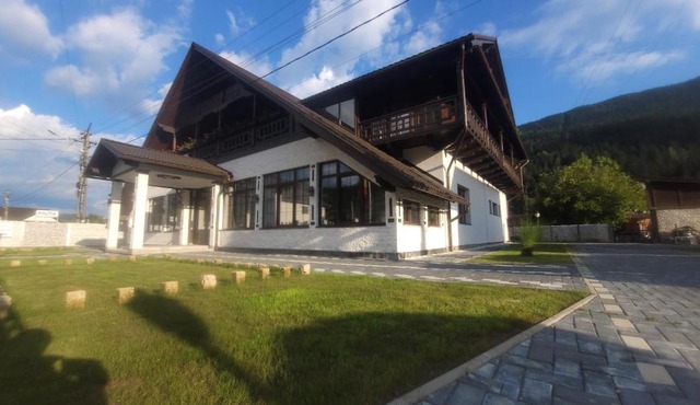 Vidra Dacica