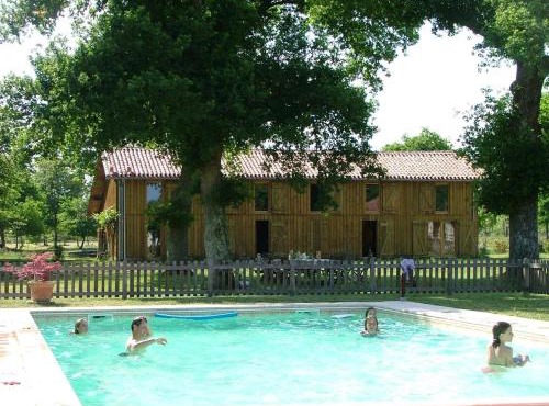Vieux chêne