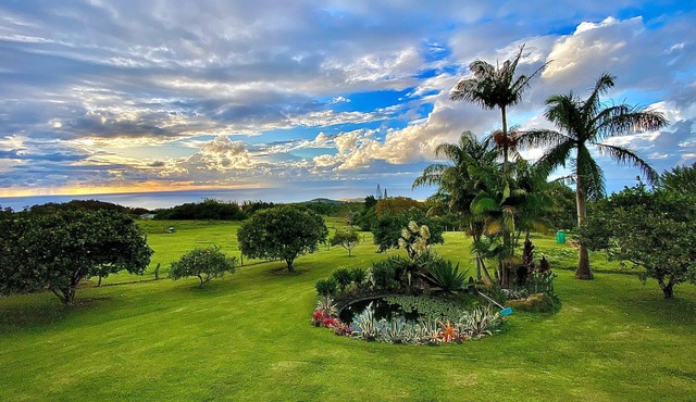 View, Value, Comfort, Clean, Gracious Host Available To Assist You In Planning