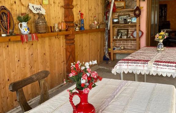 Viki house