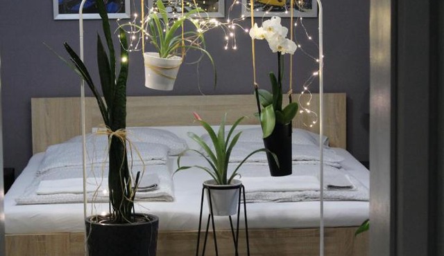 Viky Apartment