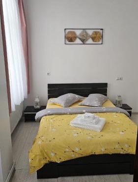 Vila Șaguna