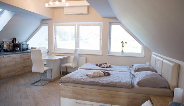 Vila Lesce studio near Bled with heated outdoor pool