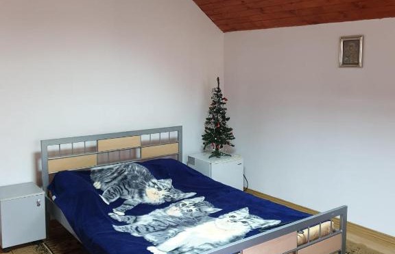 Vila Luminita