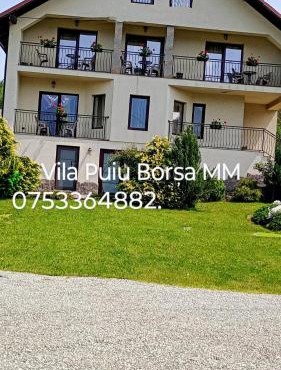 Vila Puiu Borsa MM