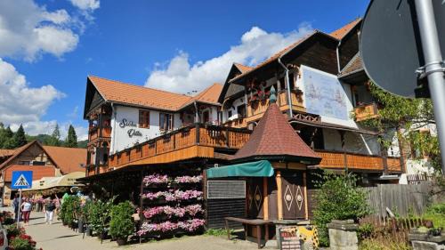 VILA SZOKE SOVATA