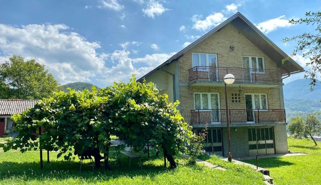 Vila Vidak