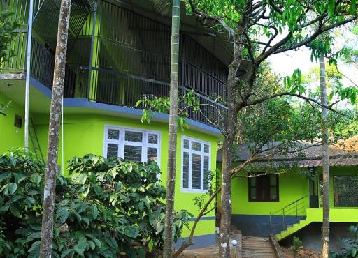 Vilaasam Greenmist