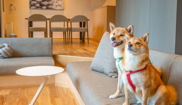 VILLA 105 Pets allowed/Aso-gun Kumamoto