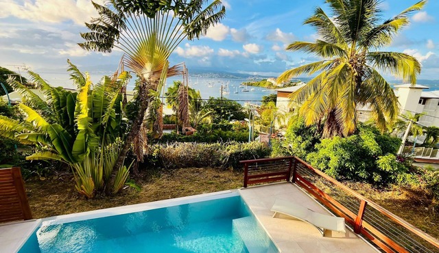 Villa + 4 studios to rent together or separately - Sea View 50m from the Beach