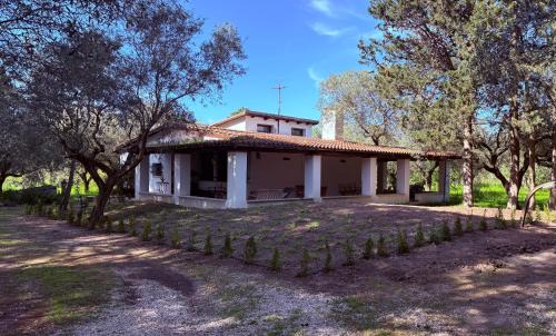 Villa Amedeo