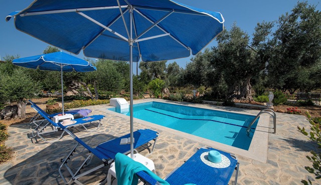 Villa Amelia, modern and tasteful house in Cretan nature