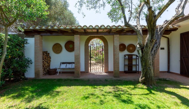Villa among centuries-old olive trees just minutes from the sea