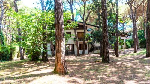 Villa Angela