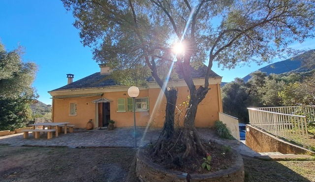 Villa apartment.