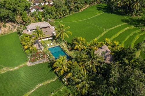 Villa Arcadia