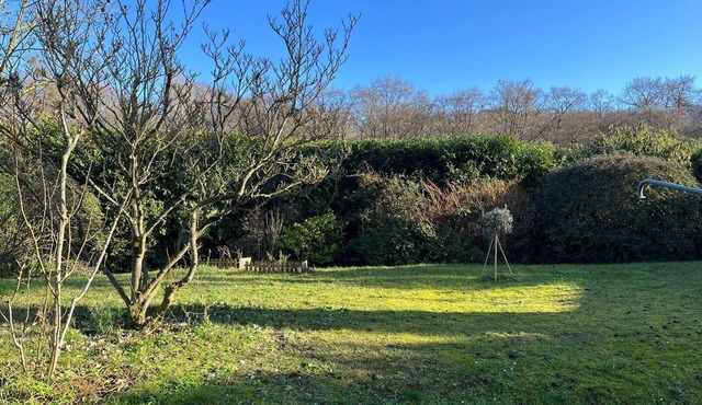 VILLA ARCHITECT, ECRIN DE VERDURE, LA CELLE SAINT CLOUD