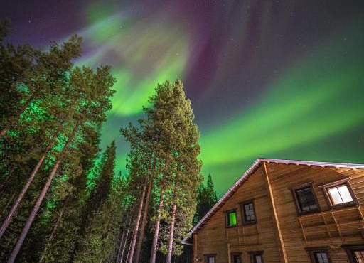 Villa ArcticFox Levi