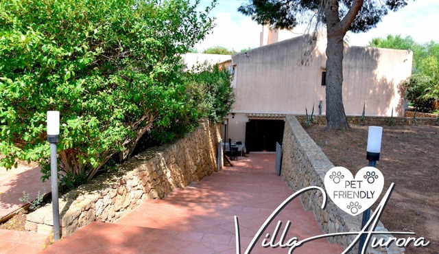 Villa Aurora, private pine forest, barbecue, solarium.